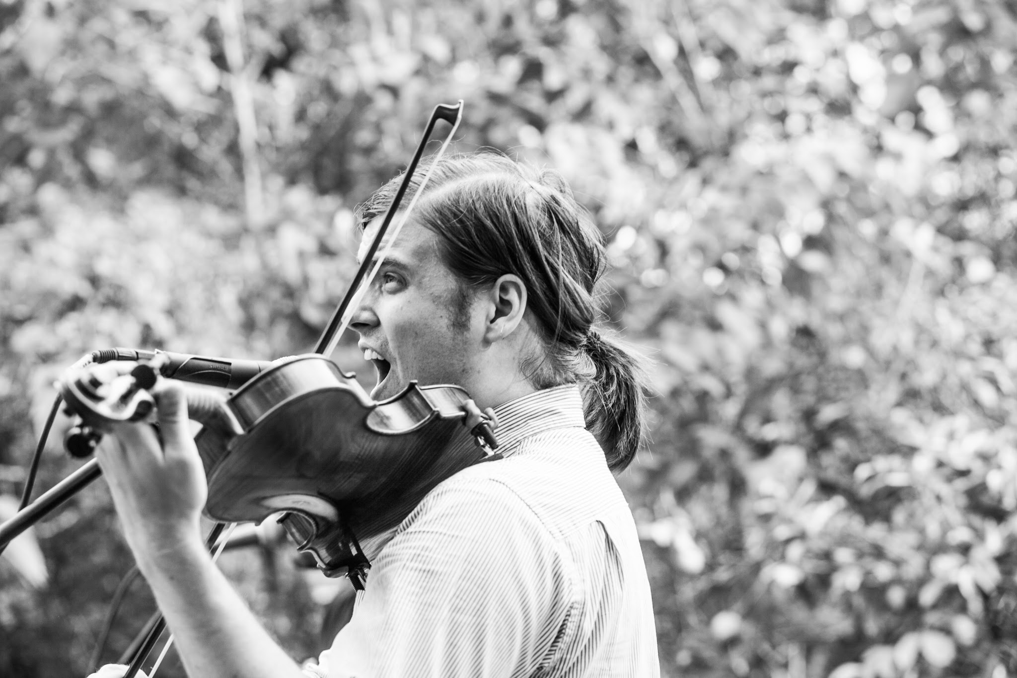 Joel Willson: Composer, Singer-Songwriter, Violinist